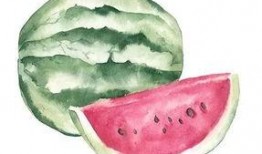 八瓜吃瓜是什么意思,网络流行语的趣味解读