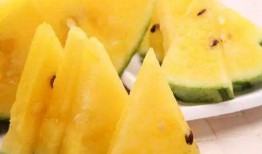 观赏瓜图可以吃吗,揭秘视觉与味觉的双重享受