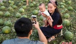 童年吃田瓜,那片田瓜地里的甜蜜时光