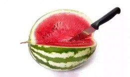 带你吃高端瓜,带你领略高端瓜果的奢华之旅