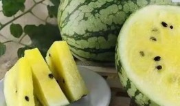 2023吃瓜最新,娱乐圈风云再起，揭秘幕后真相