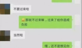 聊天吃瓜记录网站,聊天记录网站背后的故事