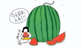 吃瓜猛料大全,吃瓜猛料大全独家揭秘