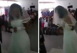 穿上婚纱吃瓜视频,一场别开生面的“吃瓜”婚礼秀