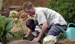 吃瓜有感英国,吃瓜群众眼中的权力与爱情