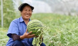 巢湖中学吃瓜,吃瓜群众眼中的校园生活剪影