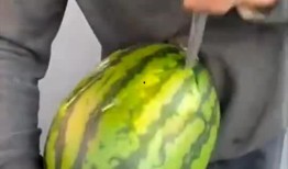 吃瓜得瓜寓意好吗,揭秘生活中的美好寓意与智慧