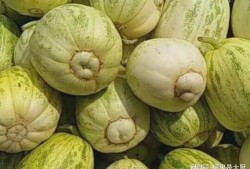 不小心吃腐烂瓜,揭秘食物中毒的隐秘危机