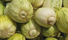 不小心吃腐烂瓜,揭秘食物中毒的隐秘危机