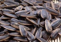 你吃瓜我吃瓜子,揭秘“吃瓜我吃瓜子”背后的趣味生活