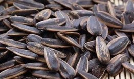 你吃瓜我吃瓜子,揭秘“吃瓜我吃瓜子”背后的趣味生活