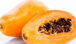 吃瓜之后吐几天,揭秘瓜果消化之旅