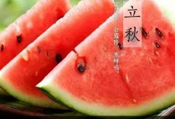 立秋吃瓜的,探寻传统习俗中的美食智慧