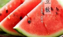 立秋吃瓜的,探寻传统习俗中的美食智慧