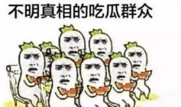 你家的吃瓜群众,揭秘我家那些事儿