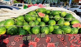 郑州和南京吃瓜,两地美食争霸记