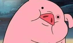 安静吃瓜的猪猪图片,静享夏日时光