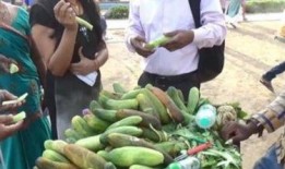 吃瓜西双版纳,吃瓜之旅，品味热带风情