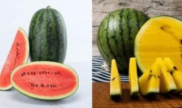 2242978吃瓜群,一场网络热议的狂欢盛宴