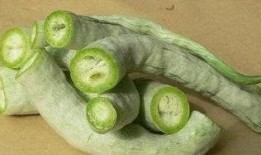 吃蛇瓜可以长高,揭秘吃蛇瓜长高的神奇功效