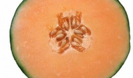 孕妇梦见吃哈密瓜,孕妇梦见吃哈密瓜的寓意与启示