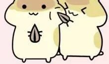 你吃瓜我吃瓜子,揭秘“吃瓜我吃瓜子”背后的趣味生活