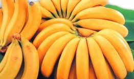 香蕉和贝贝瓜能一次吃吗,一次品尝的奇妙组合
