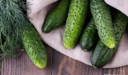 吃瓜第一线吃瓜,吃瓜第一线，带你领略明星幕后故事