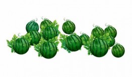 阿妍吃瓜,揭秘娱乐圈幕后故事