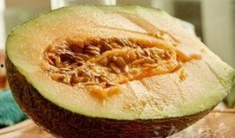 孕期可以吃哈密瓜吗,哈密瓜的适宜食用时间与营养益处