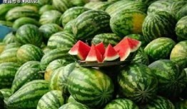 2242978吃瓜群,一场网络热议的狂欢盛宴