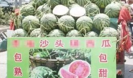 新港商留城吃瓜事件,一场引发热议的社区事件揭秘