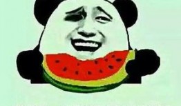 网络热词吃瓜,网络热词“吃瓜”背后的娱乐现象解析