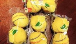 泉舜吃瓜,揭秘娱乐圈幕后故事