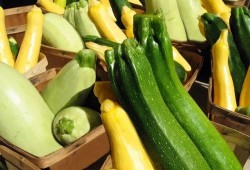 带你吃高端瓜,带你领略高端瓜果的奢华之旅