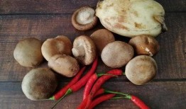 吃藕少女爱吃瓜,少女的甜蜜食趣之旅