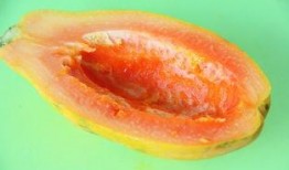 不小心吃腐烂瓜,揭秘食物中毒的隐秘危机