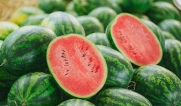 吃瓜得瓜寓意好吗,揭秘生活中的美好寓意与智慧