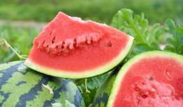 吃瓜吃到广东,探寻广东美食的奥秘