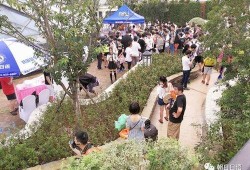 朝阳热门吃瓜,揭秘京城街头那些鲜为人知的美食传奇