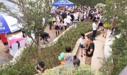 朝阳热门吃瓜,揭秘京城街头那些鲜为人知的美食传奇