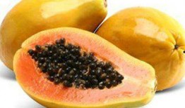 木瓜吃瓜,探寻瓜果中的美味与营养