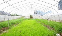 农大草坪吃瓜,夏日吃瓜好去处