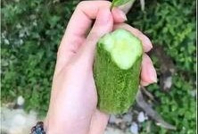 巫溪吃瓜视频,揭秘当地特色美食背后的故事