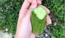 巫溪吃瓜视频,揭秘当地特色美食背后的故事