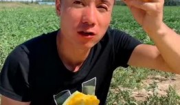 吃瓜的样子很迷人,揭秘吃瓜者的迷人姿态