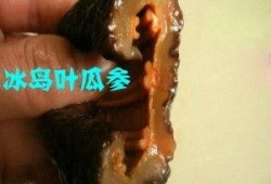 叶瓜参怎么吃,探索美味与健康的完美结合