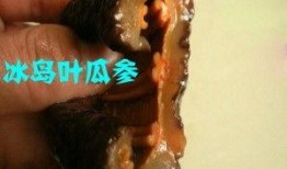 叶瓜参怎么吃,探索美味与健康的完美结合