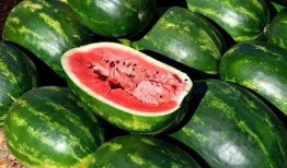 排队吃瓜图案是什么,揭秘网络热图背后的社会现象