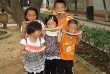 吃瓜观众fun,揭秘娱乐圈幕后故事